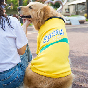 Discover the Comfort of Our Medium Large Pet Fleece Sweater