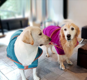 The Ultimate Solution for Your Pet's Bath Time