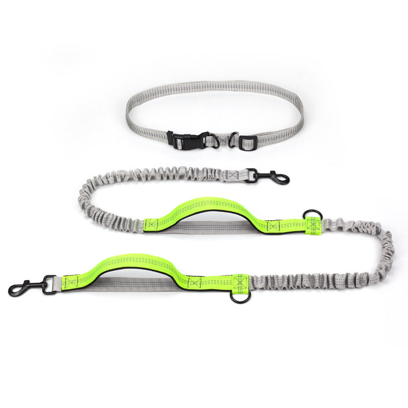 Discover the Ultimate Outdoor Running Pet Leash