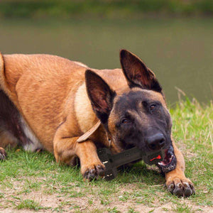 Unleash the Fun with Durable Pet Chew Toy for Aggressive Chewers