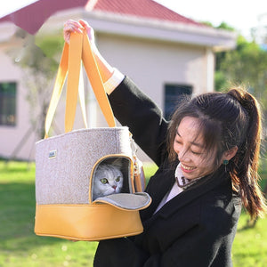 Discover the Ultimate Pet Adventure Companion