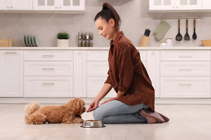 Feeding Essentials for a Healthy Life