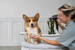 PET GROOMING TOOLS FOR HEALTHY CLEAN CARE