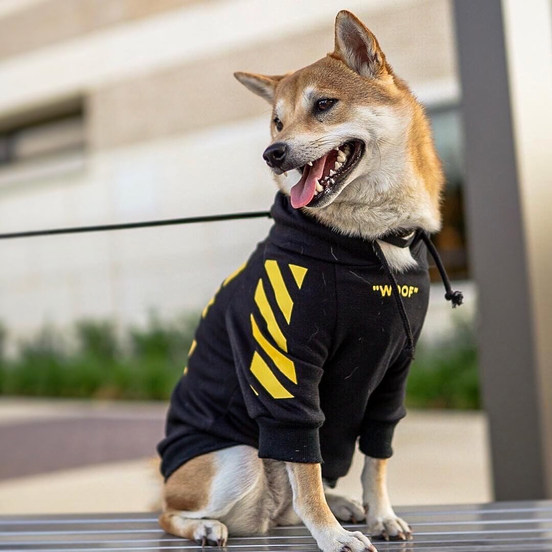 Pet Three Stripe Sweater Stylish Autumn Winter Sportswear Clothing