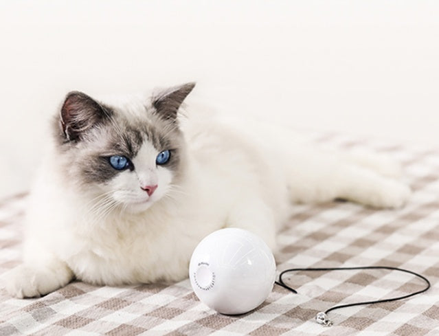 Smart Automatic Interactive Pet Ball Toy For Active Play And Exercise