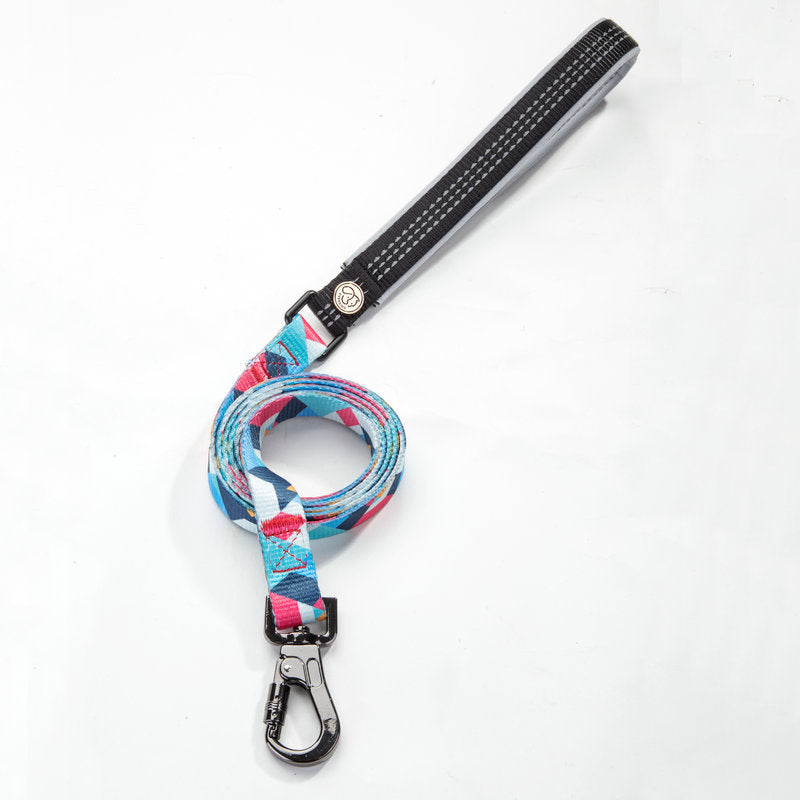 Durable Pet Walking Leash Control Lead