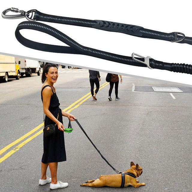 Car Safety Traction Leash Walking Travel Lead