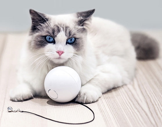 Smart Automatic Interactive Pet Ball Toy For Active Play And Exercise