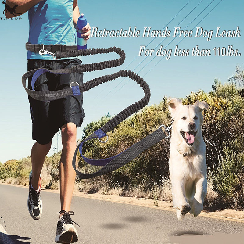Reflective Multi Function Elastic Pet Leash Running Traction Lead