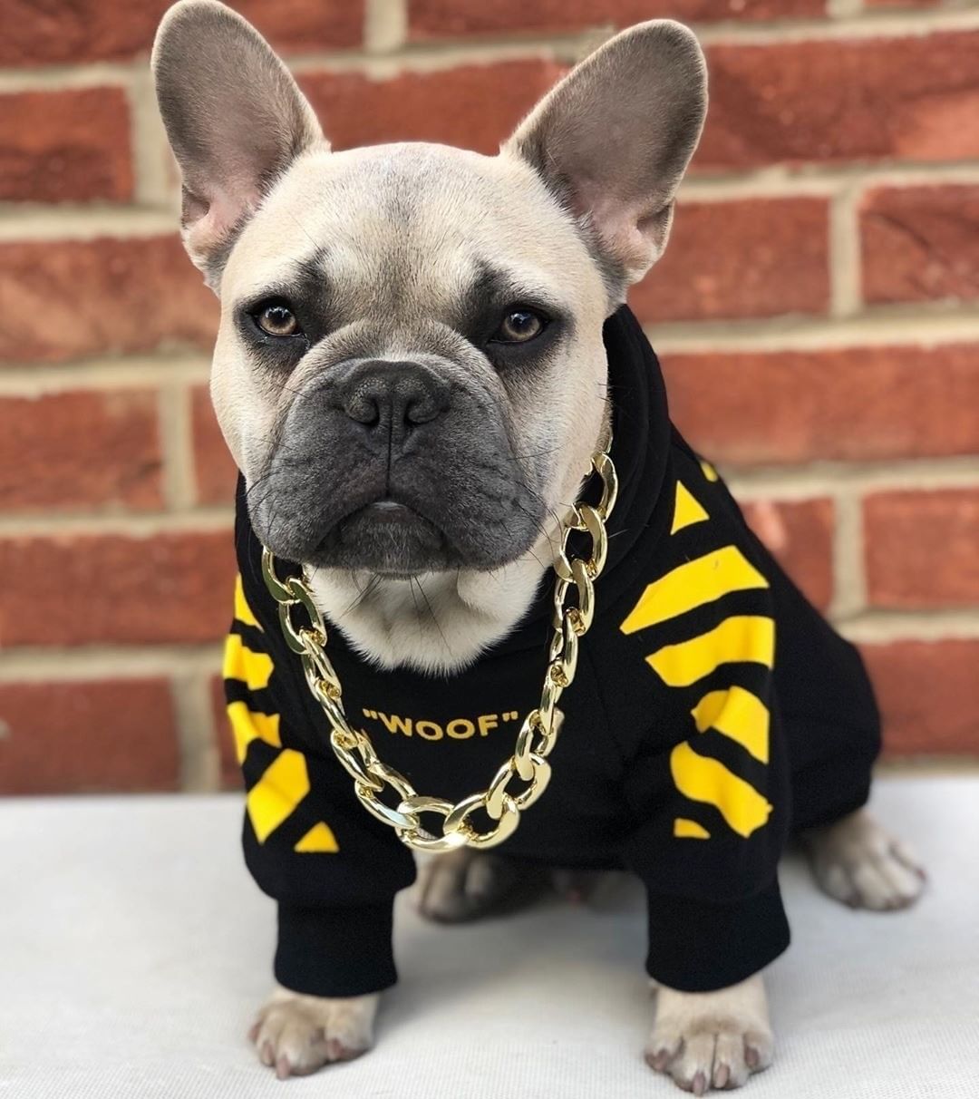Pet Three Stripe Sweater Stylish Autumn Winter Sportswear Clothing