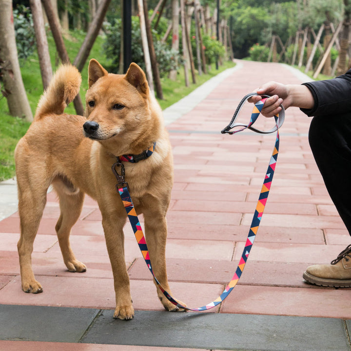Durable Pet Walking Leash Control Lead