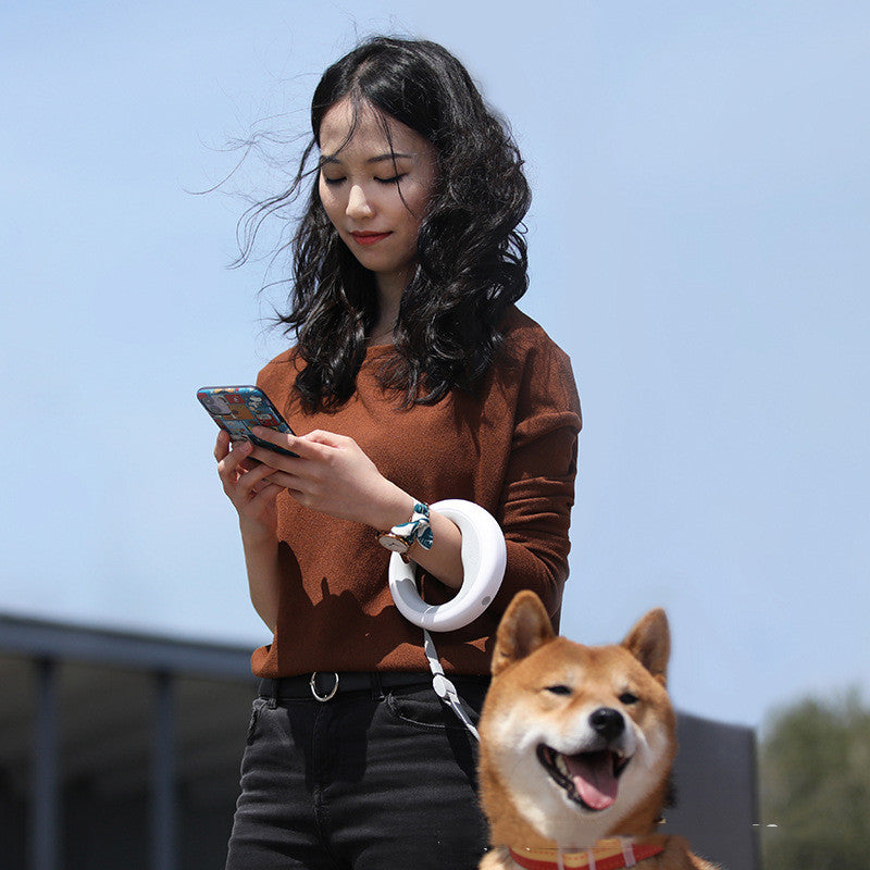 Retractable Pet Leash With Collar Durable Walking Chain Lead