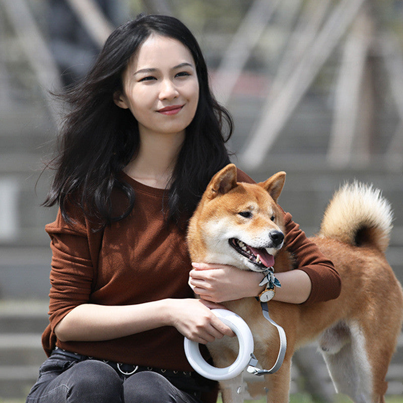 Retractable Pet Leash With Collar Durable Walking Chain Lead