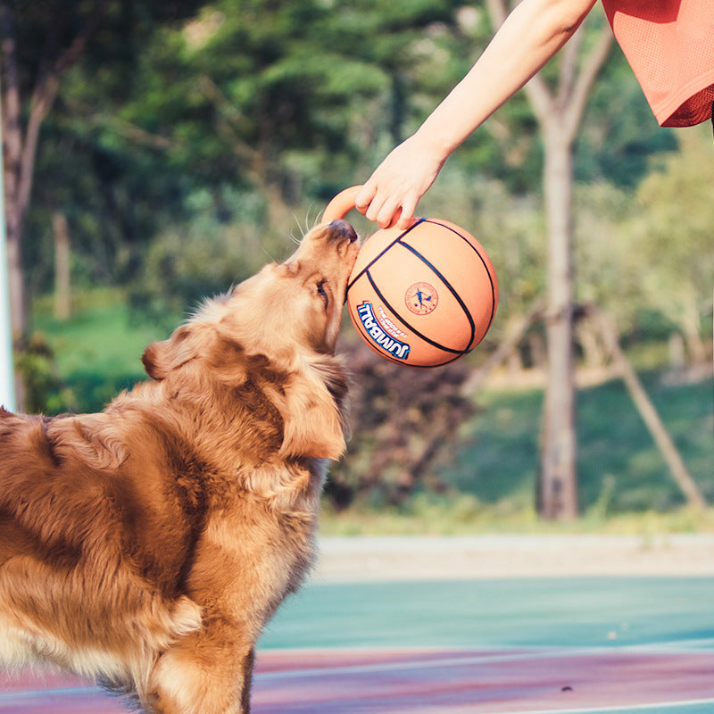 Jianbao Ball Toy Bite Resistant Pet Toy Ball Puzzle