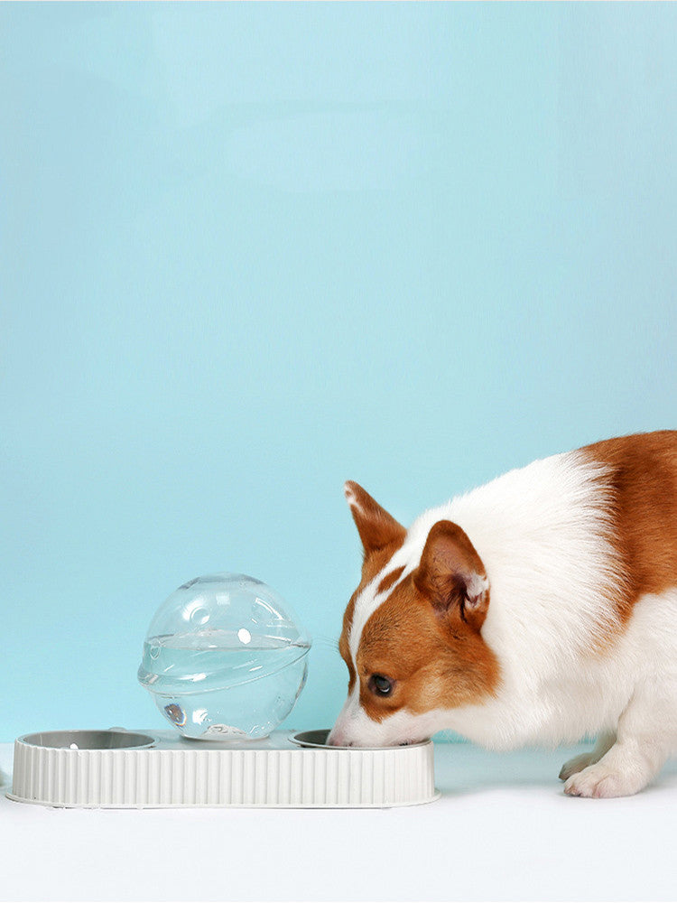 Automatic Plastic Pet Feeder Water Bowl For Food And Drink Supply