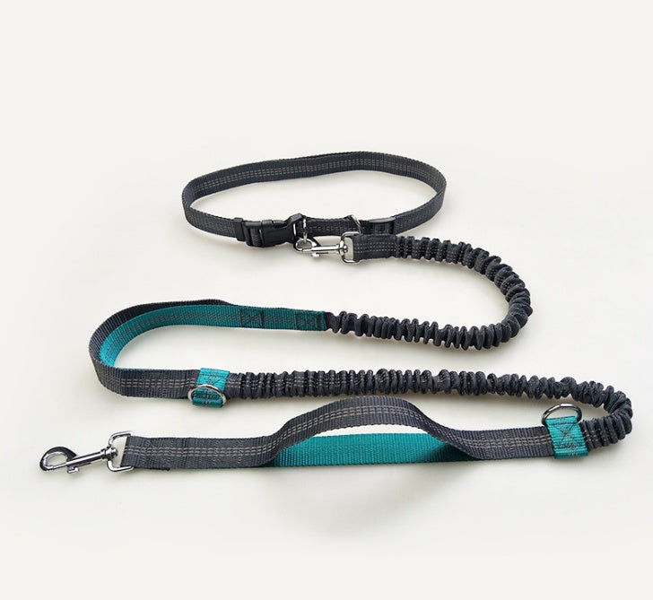 Reflective Multi Function Elastic Pet Leash Running Traction Lead