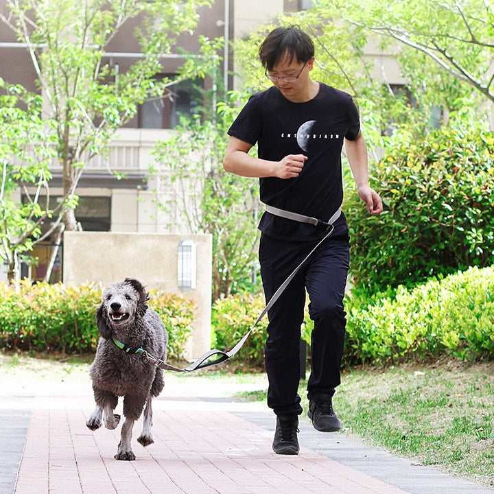 Multifunctional 1.8M Pet Leash Running Traction Lead