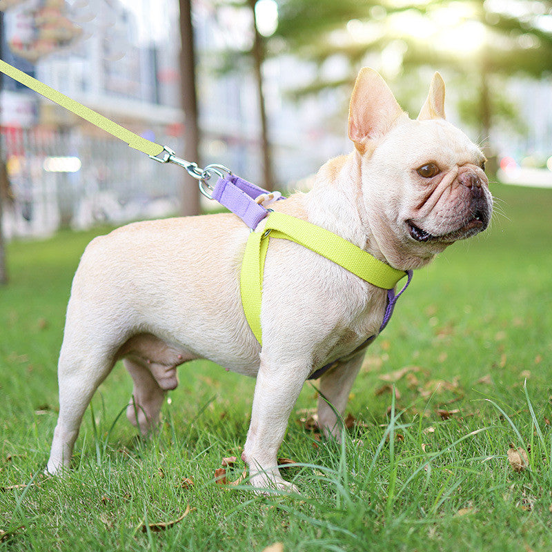 Vest Style Pet Drawstring Leash Walking Harness Lead