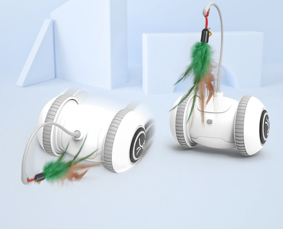 Interactive Pet Feather Toy With Interchangeable Heads For Play And Exercise