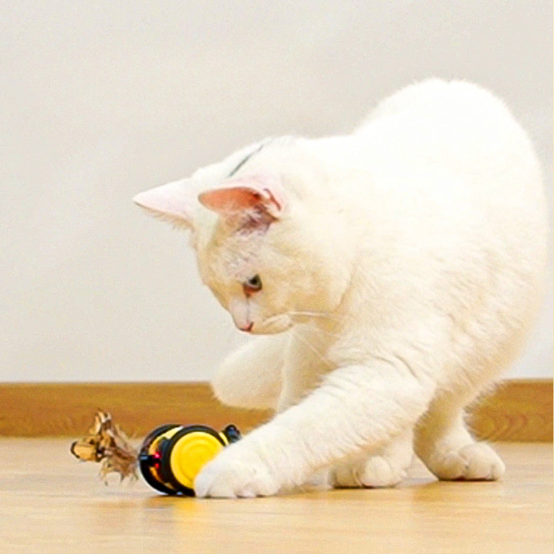 Electric Interactive Moving Feather Teaser Pet Toy For Active Play