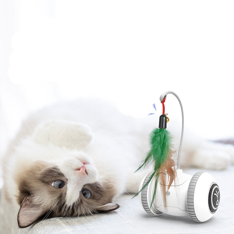 Interactive Pet Feather Toy With Interchangeable Heads For Play And Exercise