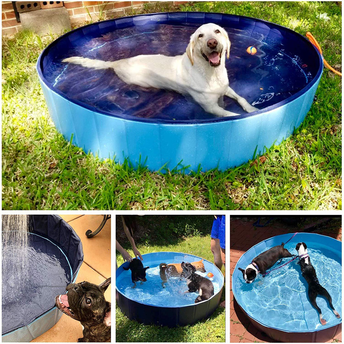 Foldable Pet Swimming Bath Pool Collapsible Indoor Outdoor Tub