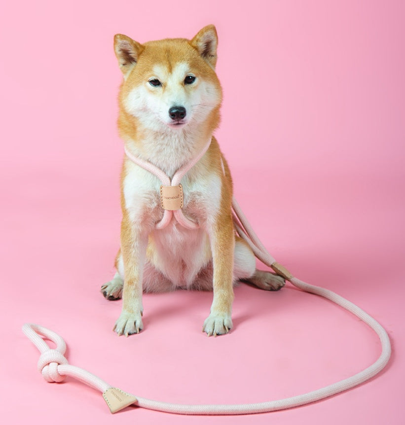 Dual Purpose Integrated Round Rope Pet Leash Control Lead