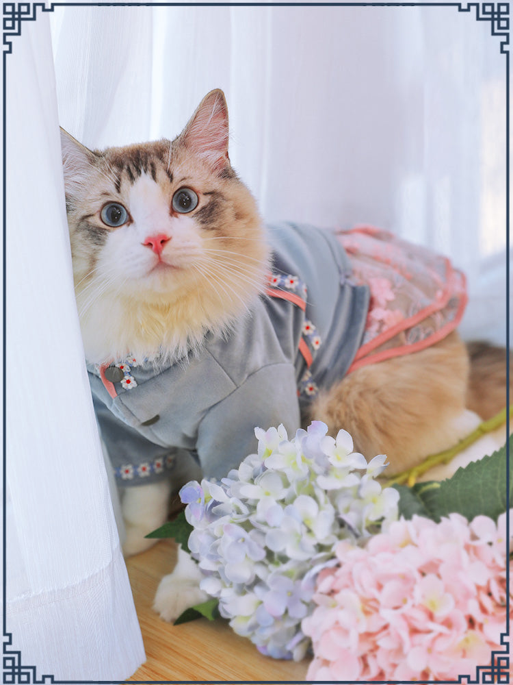 Pet Clothing Comfortable Stylish Everyday Wear For All Pets