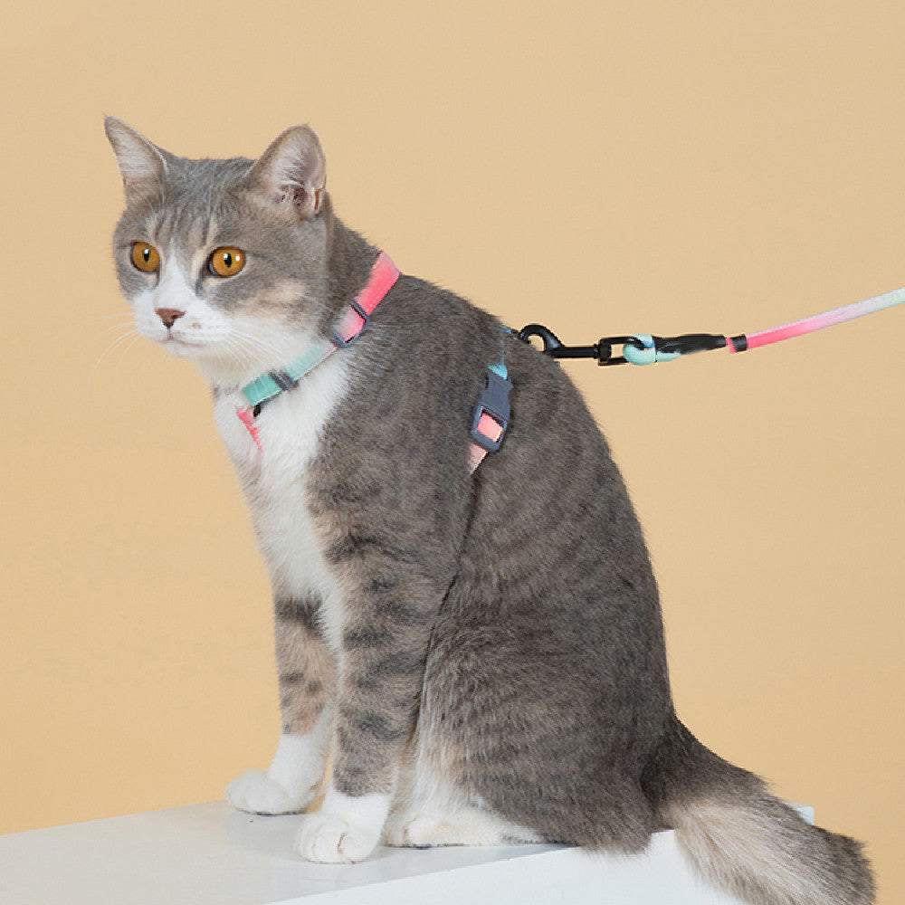 Fashion Pet Leash Anti Escape Safety Control Lead