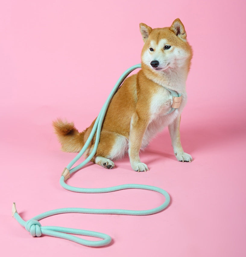Dual Purpose Integrated Round Rope Pet Leash Control Lead