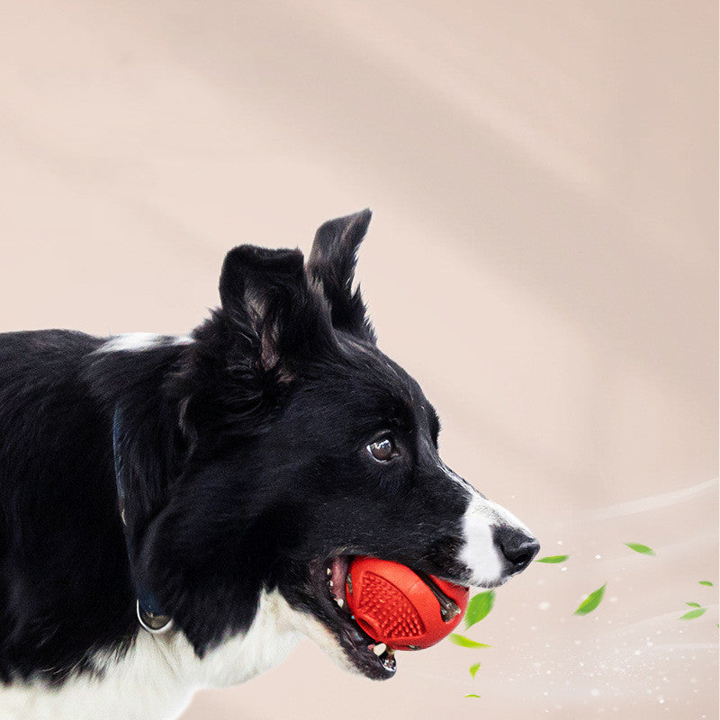 Elastic Solid Food Dispensing Pet Ball For Interactive Training Toy