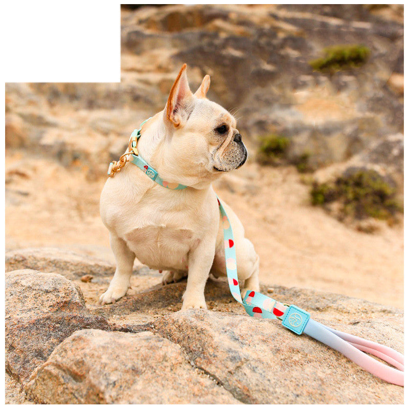Fashion Y Shaped Pet Chest Strap Harness Leash Lead