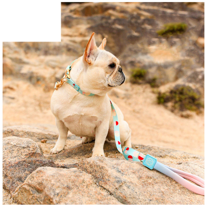 Fashion Y Shaped Pet Chest Strap Harness Leash Lead