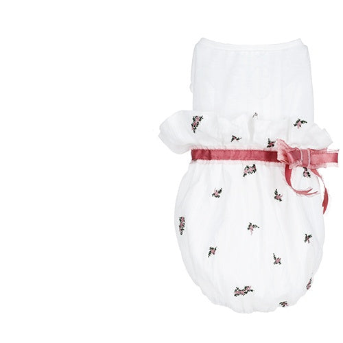 Pet Clothing Comfortable Stylish Everyday Wear For All Pets