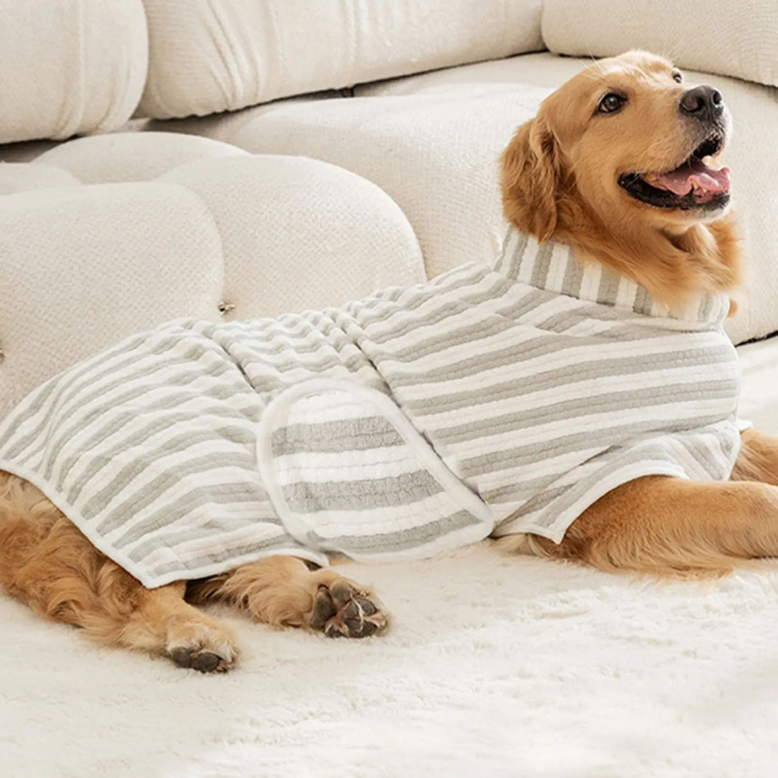 Ultra Absorbent Quick Dry Pet Bath Towel Thick Bathrobe For All Sizes