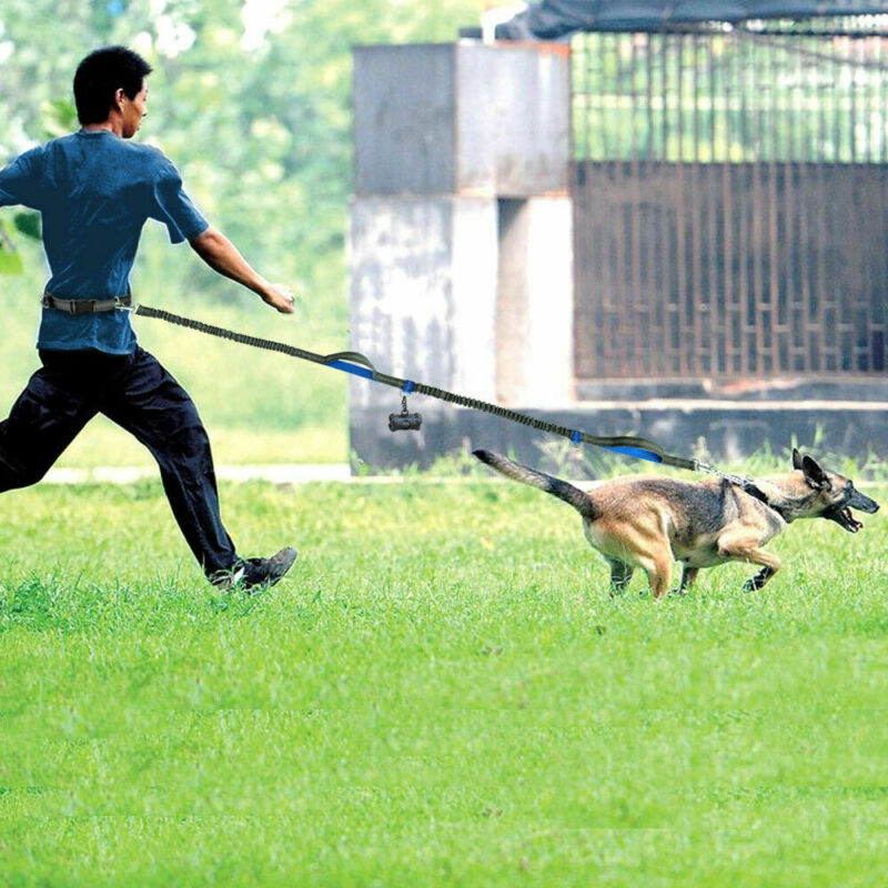 Reflective Multi Function Elastic Pet Leash Running Traction Lead