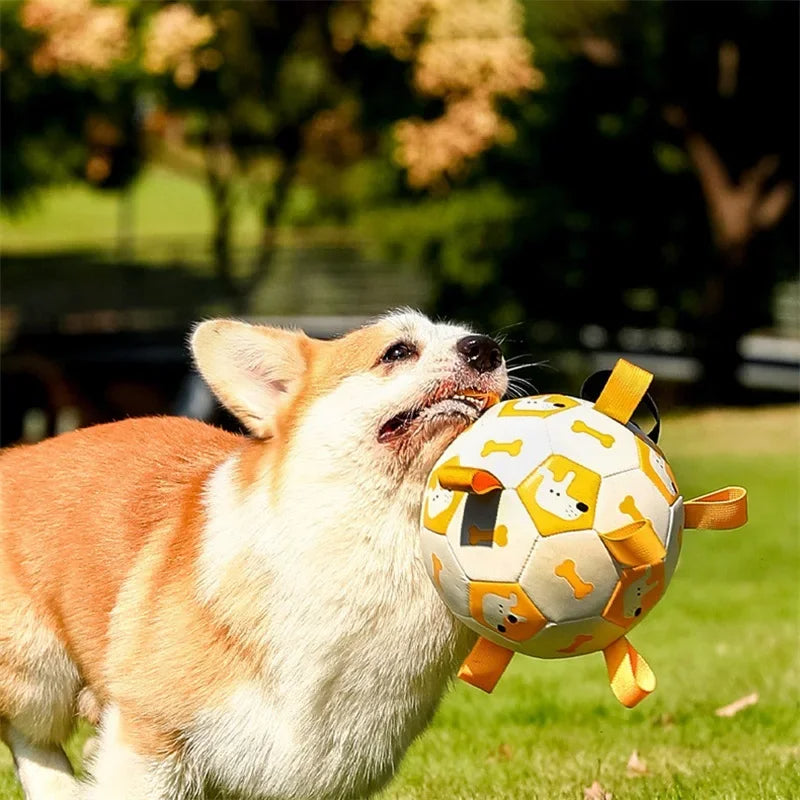 Interactive Pet Football Toy Outdoor Training Chew Teething Ball