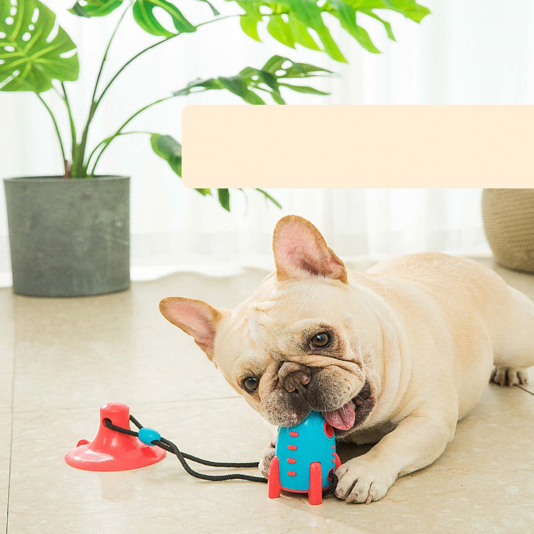 Leak Proof Rocket Shaped Food Dispensing Bite Resistant Pet Toy