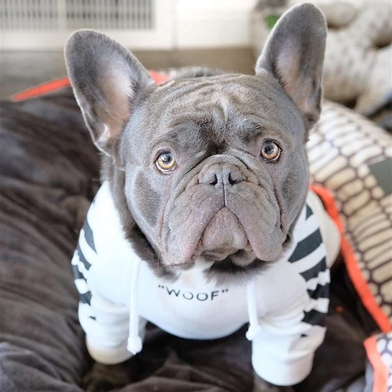 Pet Three Stripe Sweater Stylish Autumn Winter Sportswear Clothing
