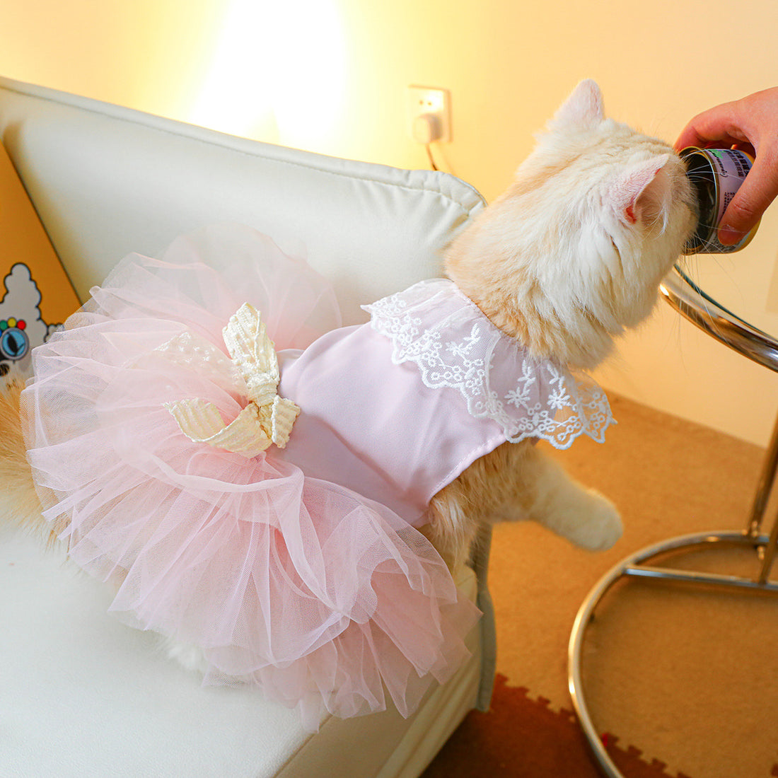 Pet Lace Clothing Stylish Comfortable Lightweight Everyday Wear