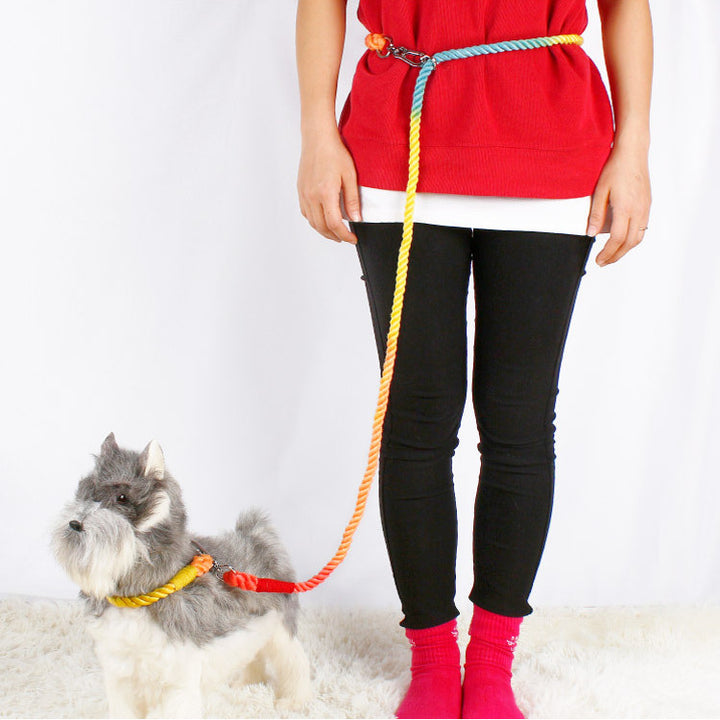 Multifunctional Braided Double Ended Pet Leash Control Lead