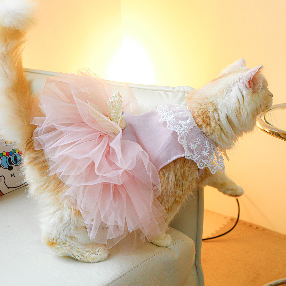 Pet Lace Clothing Stylish Comfortable Lightweight Everyday Wear