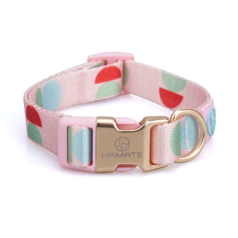 Fashion Y Shaped Pet Chest Strap Harness Leash Lead