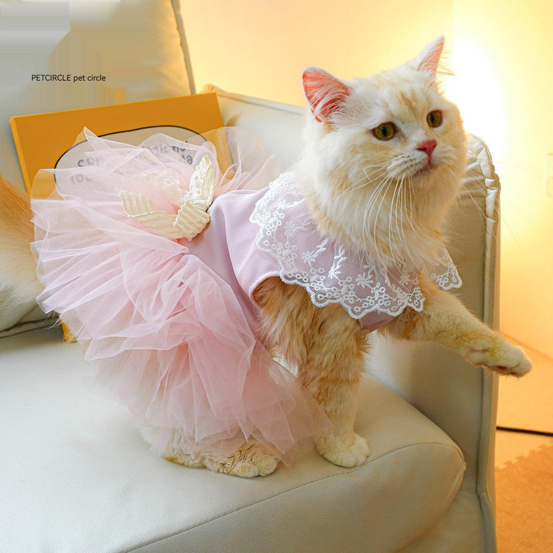 Pet Lace Clothing Stylish Comfortable Lightweight Everyday Wear