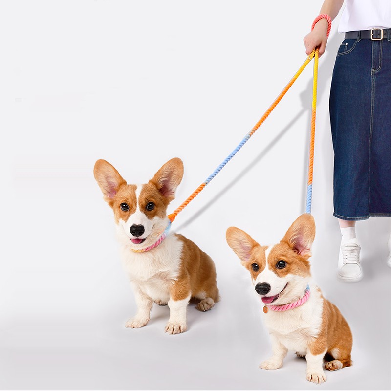 Multi Functional Dual Head Pet Leash Control Lead