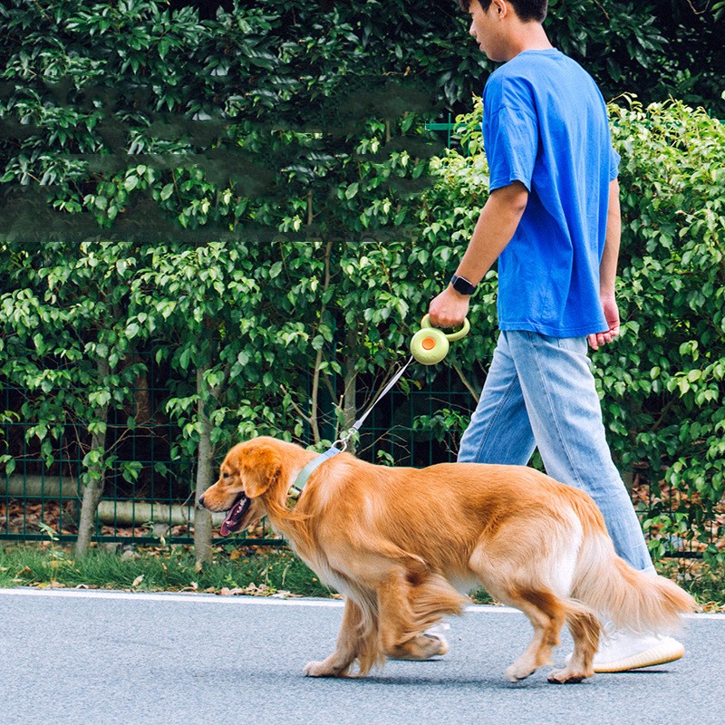 Retractable Reflective Pet Leash Walking Rope