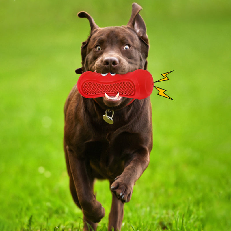 Vocal Rugby Pet Toy Natural Rubber Teething Chew Resistant Design
