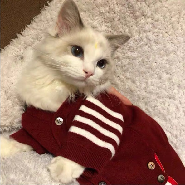 Pet Clothing Comfortable Stylish Everyday Wear For All Pets