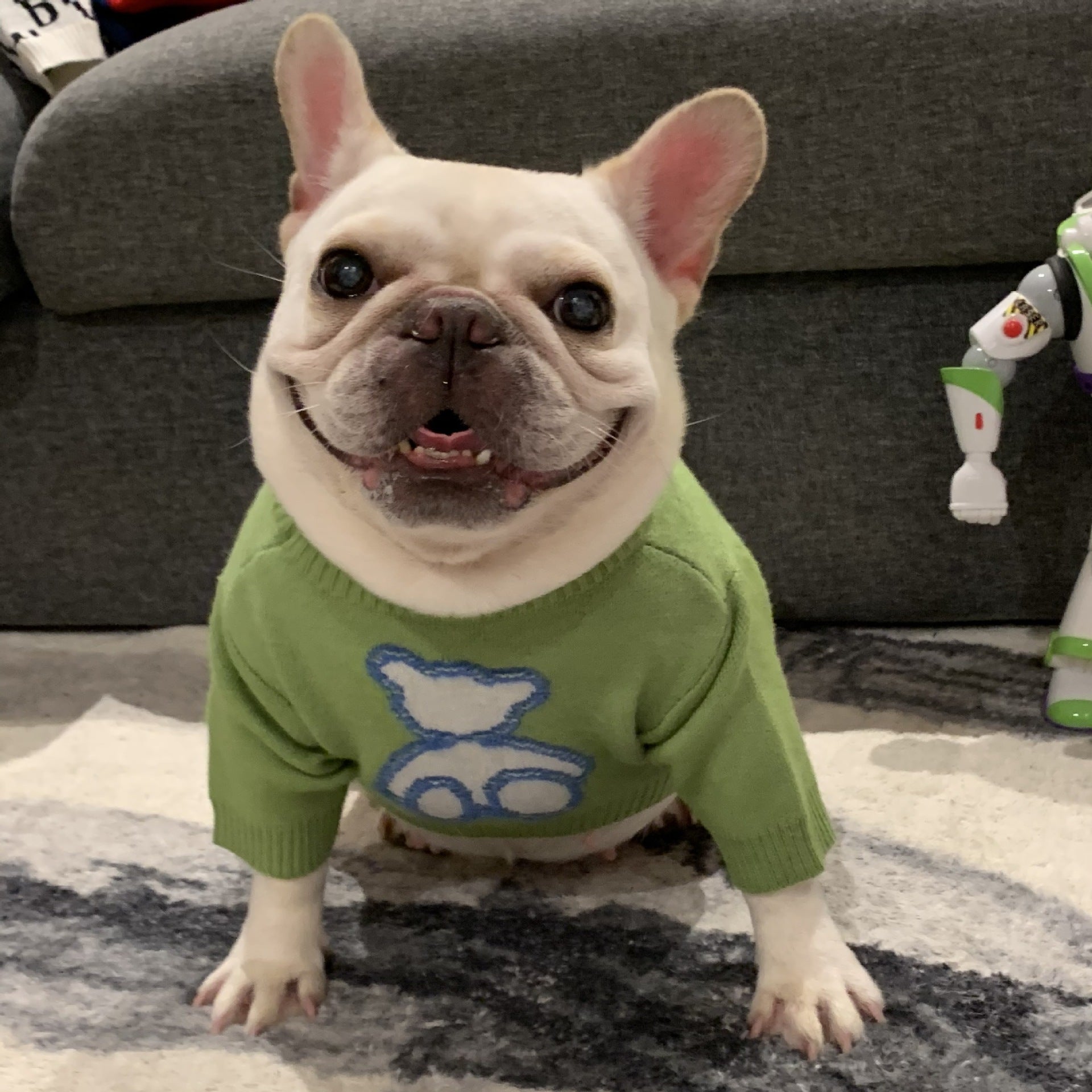 Pet Fall Winter Sweater Warm Comfortable Stylish Clothing