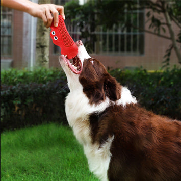 Vocal Rugby Pet Toy Natural Rubber Teething Chew Resistant Design